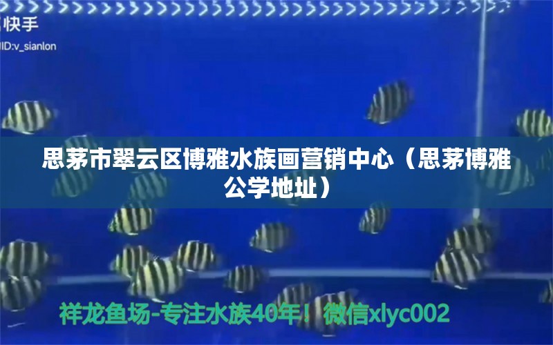 思茅市翠云区博雅水族画营销中心（思茅博雅公学地址） 全国水族馆企业名录