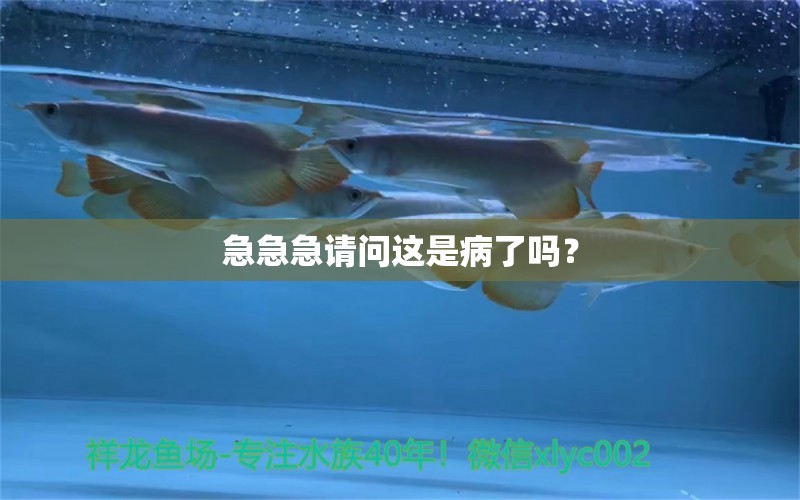 急急急请问这是病了吗？