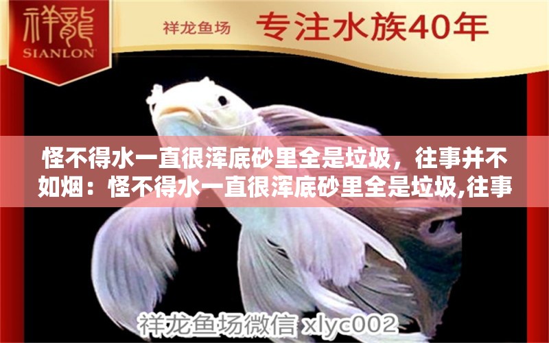 怪不得水一直很浑底砂里全是垃圾，往事并不如烟：怪不得水一直很浑底砂里全是垃圾,往事并不如烟 观赏鱼论坛 第2张