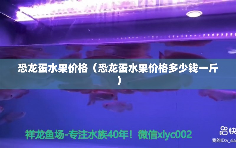 恐龙蛋水果价格（恐龙蛋水果价格多少钱一斤） 祥龙水族医院