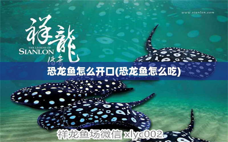 恐龙鱼怎么开口(恐龙鱼怎么吃) 水族灯（鱼缸灯）