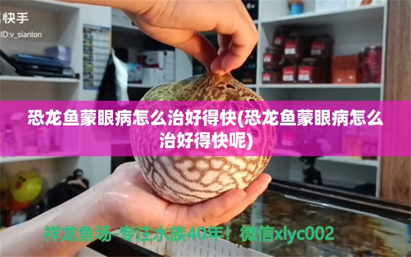 恐龙鱼蒙眼病怎么治好得快(恐龙鱼蒙眼病怎么治好得快呢)