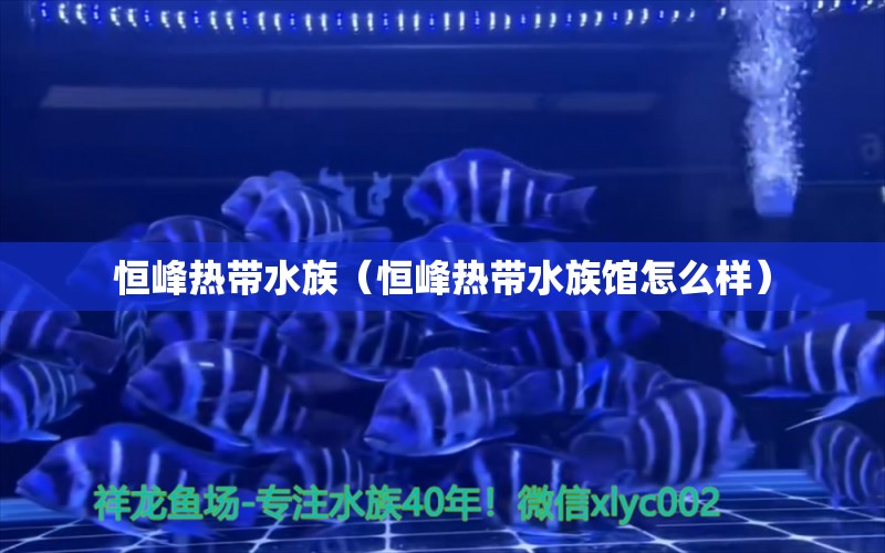 恒峰热带水族（恒峰热带水族馆怎么样） 全国水族馆企业名录