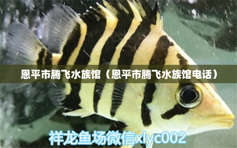 恩平市腾飞水族馆（恩平市腾飞水族馆电话） 全国水族馆企业名录