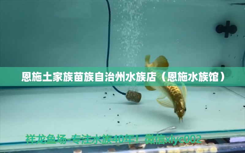 恩施土家族苗族自治州水族店（恩施水族馆）