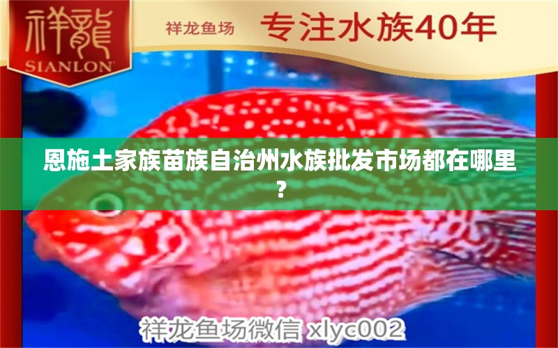 恩施土家族苗族自治州水族批发市场都在哪里？