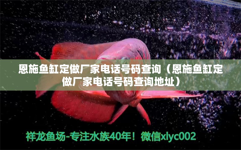 恩施鱼缸定做厂家电话号码查询（恩施鱼缸定做厂家电话号码查询地址）