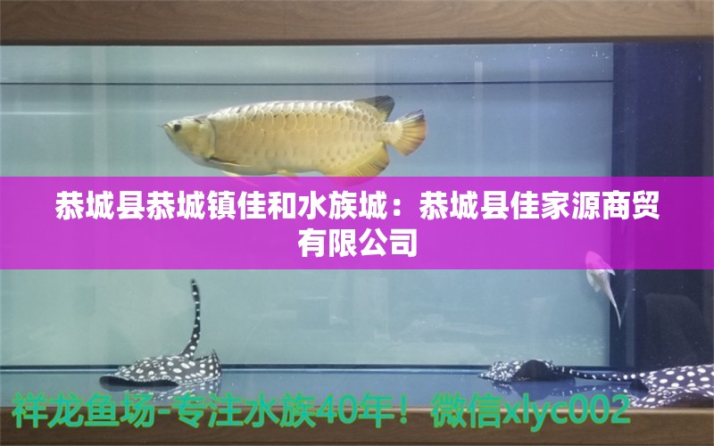 恭城县恭城镇佳和水族城：恭城县佳家源商贸有限公司 全国水族馆企业名录