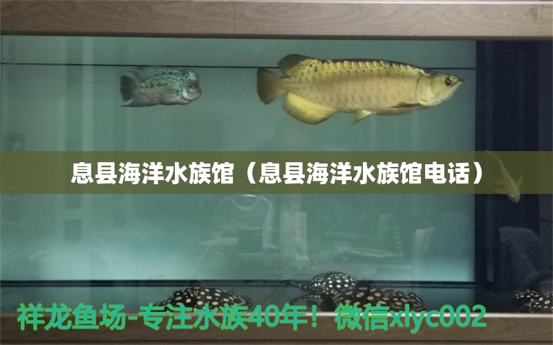 息县海洋水族馆（息县海洋水族馆电话） 全国水族馆企业名录