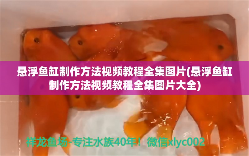 悬浮鱼缸制作方法视频教程全集图片(悬浮鱼缸制作方法视频教程全集图片大全)