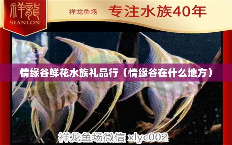 情缘谷鲜花水族礼品行（情缘谷在什么地方） 全国水族馆企业名录