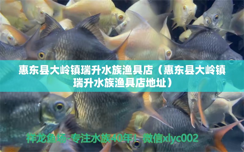 惠东县大岭镇瑞升水族渔具店（惠东县大岭镇瑞升水族渔具店地址） 全国水族馆企业名录