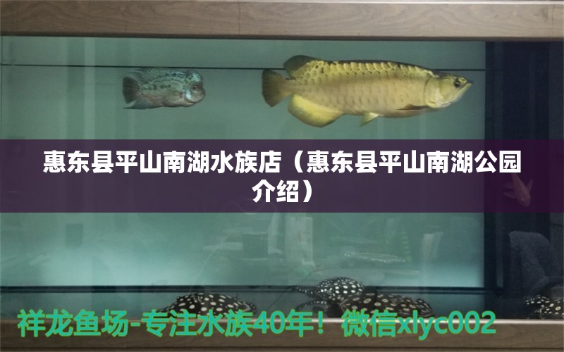 惠东县平山南湖水族店（惠东县平山南湖公园介绍） 全国水族馆企业名录