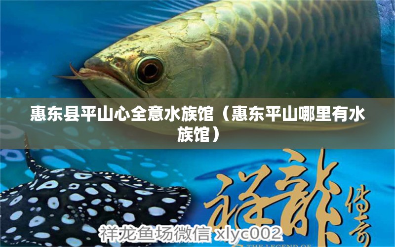 惠东县平山心全意水族馆（惠东平山哪里有水族馆）