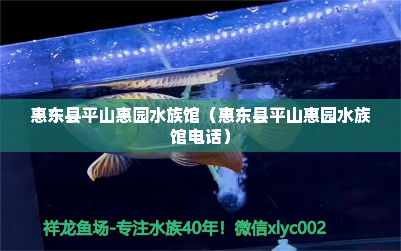 惠东县平山惠园水族馆（惠东县平山惠园水族馆电话）