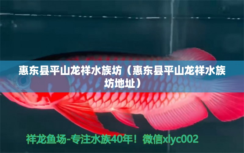 惠东县平山龙祥水族坊（惠东县平山龙祥水族坊地址） 全国水族馆企业名录