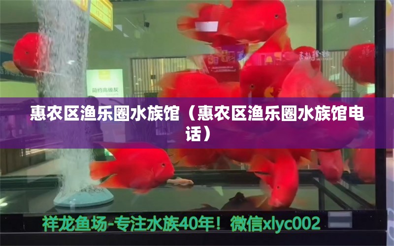 惠农区渔乐圈水族馆（惠农区渔乐圈水族馆电话）