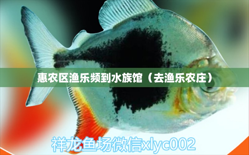 惠农区渔乐频到水族馆（去渔乐农庄）