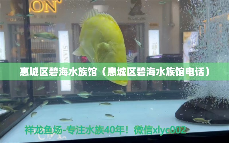 惠城区碧海水族馆（惠城区碧海水族馆电话） 全国水族馆企业名录