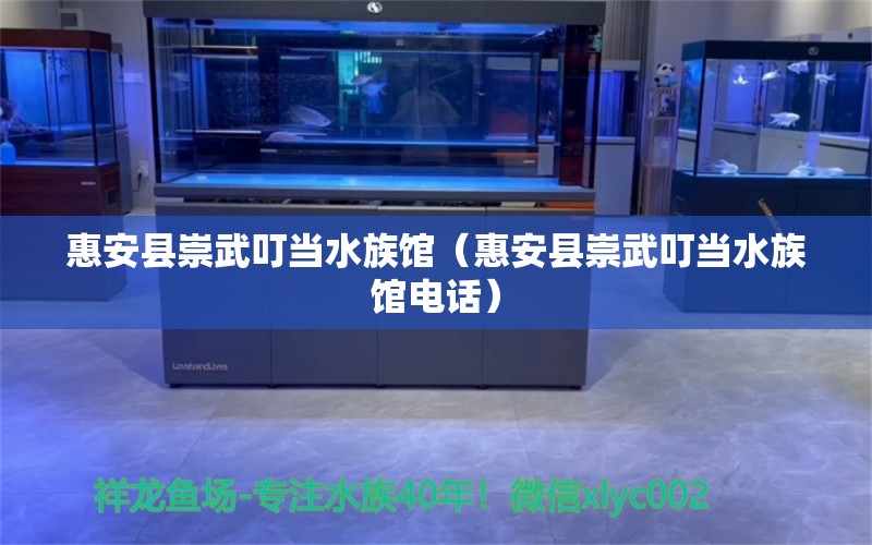 惠安县崇武叮当水族馆（惠安县崇武叮当水族馆电话） 全国水族馆企业名录