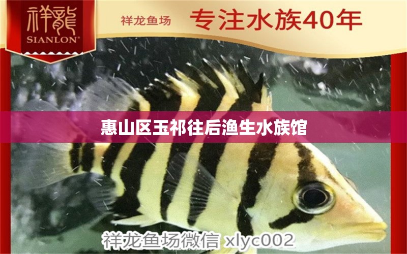 惠山区玉祁往后渔生水族馆