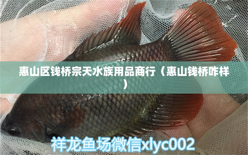 惠山区钱桥宗天水族用品商行（惠山钱桥咋样） 水族用品