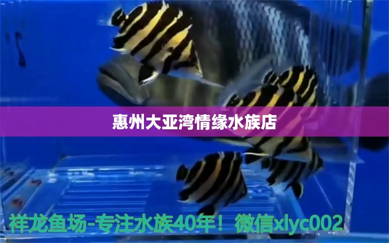 惠州大亚湾情缘水族店