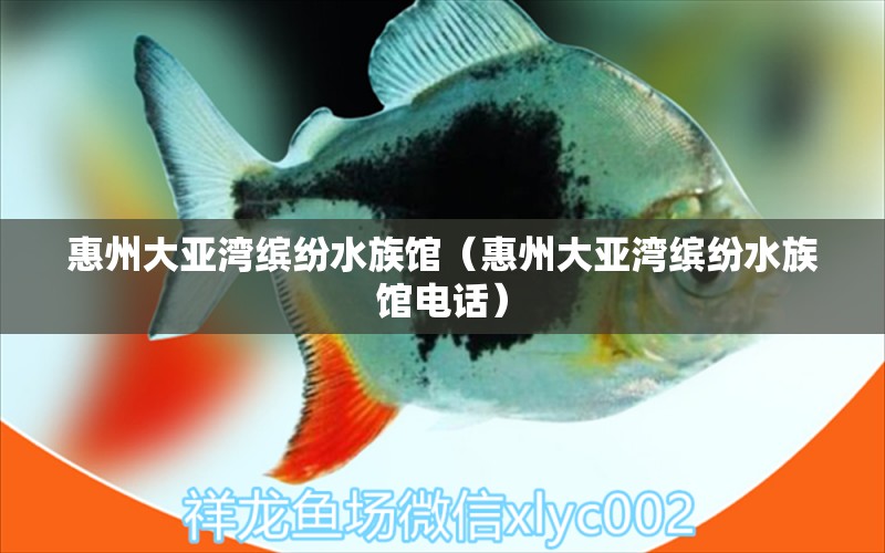 惠州大亚湾缤纷水族馆（惠州大亚湾缤纷水族馆电话） 全国水族馆企业名录