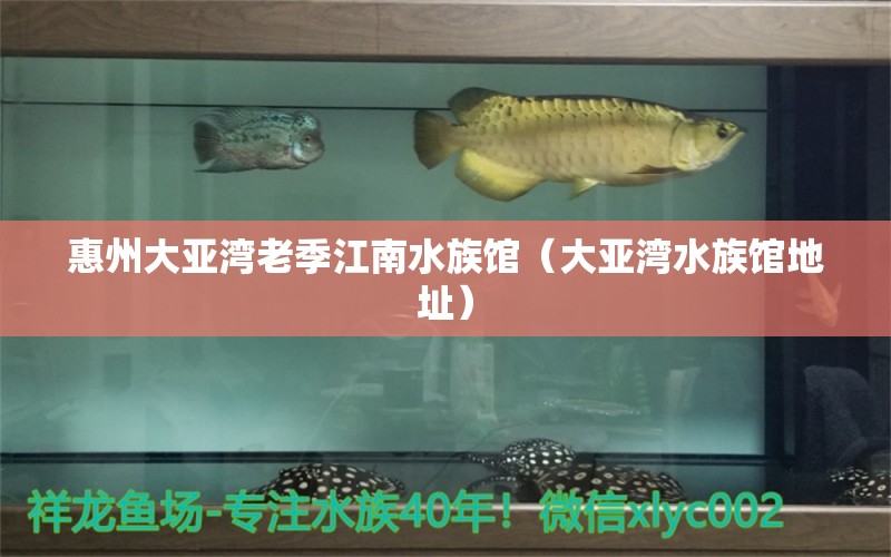 惠州大亚湾老季江南水族馆（大亚湾水族馆地址）