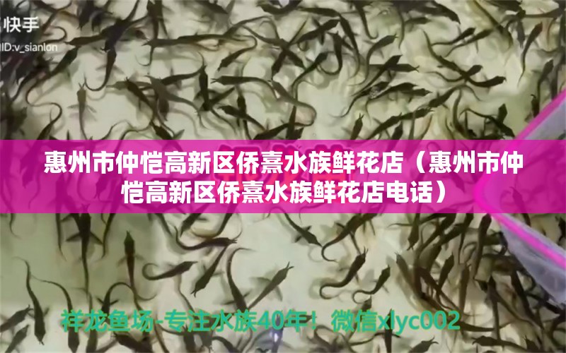 惠州市仲恺高新区侨熹水族鲜花店（惠州市仲恺高新区侨熹水族鲜花店电话）