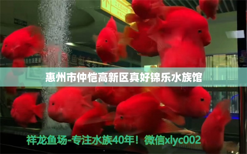 惠州市仲恺高新区真好锦乐水族馆