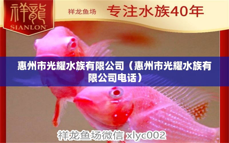 惠州市光耀水族有限公司（惠州市光耀水族有限公司电话） 全国水族馆企业名录