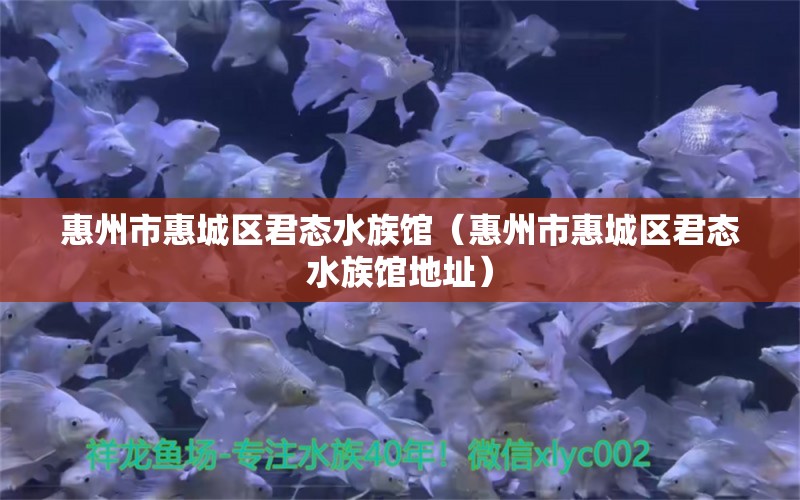 惠州市惠城区君态水族馆（惠州市惠城区君态水族馆地址）