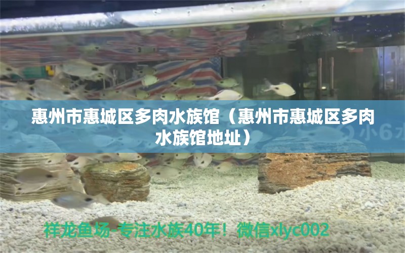 惠州市惠城区多肉水族馆（惠州市惠城区多肉水族馆地址） 全国水族馆企业名录