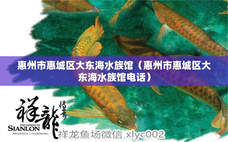 惠州市惠城区大东海水族馆（惠州市惠城区大东海水族馆电话）