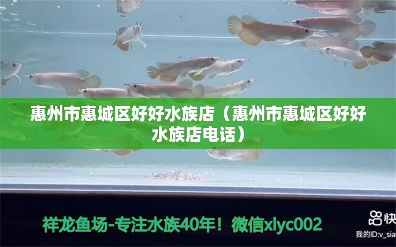 惠州市惠城区好好水族店（惠州市惠城区好好水族店电话） 全国水族馆企业名录