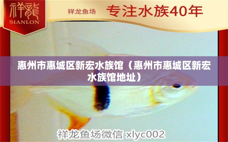 惠州市惠城区新宏水族馆（惠州市惠城区新宏水族馆地址）