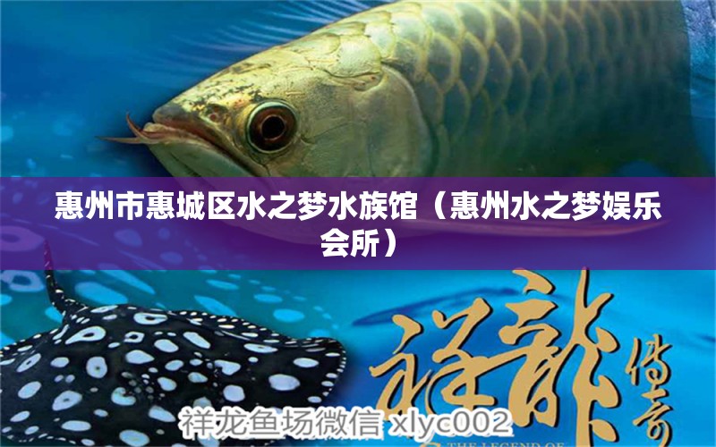 惠州市惠城区水之梦水族馆（惠州水之梦娱乐会所）