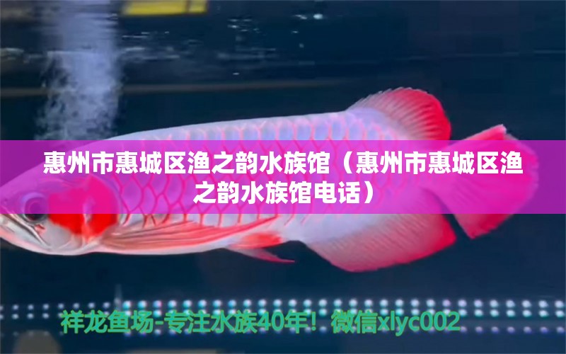 惠州市惠城区渔之韵水族馆（惠州市惠城区渔之韵水族馆电话）