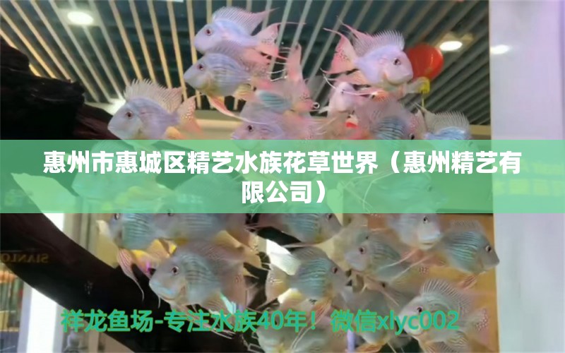 惠州市惠城区精艺水族花草世界（惠州精艺有限公司） 全国水族馆企业名录