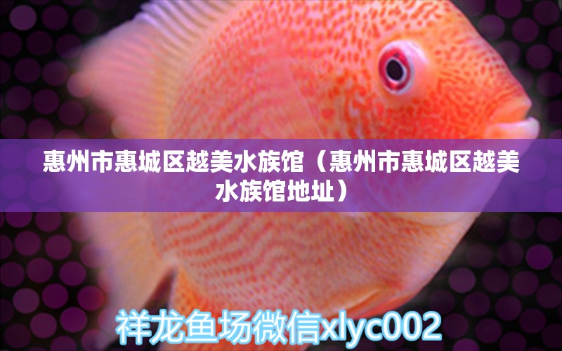 惠州市惠城区越美水族馆（惠州市惠城区越美水族馆地址） 全国水族馆企业名录