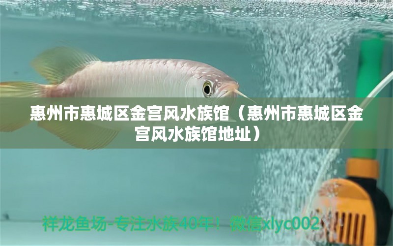 惠州市惠城区金宫风水族馆（惠州市惠城区金宫风水族馆地址） 鱼缸风水