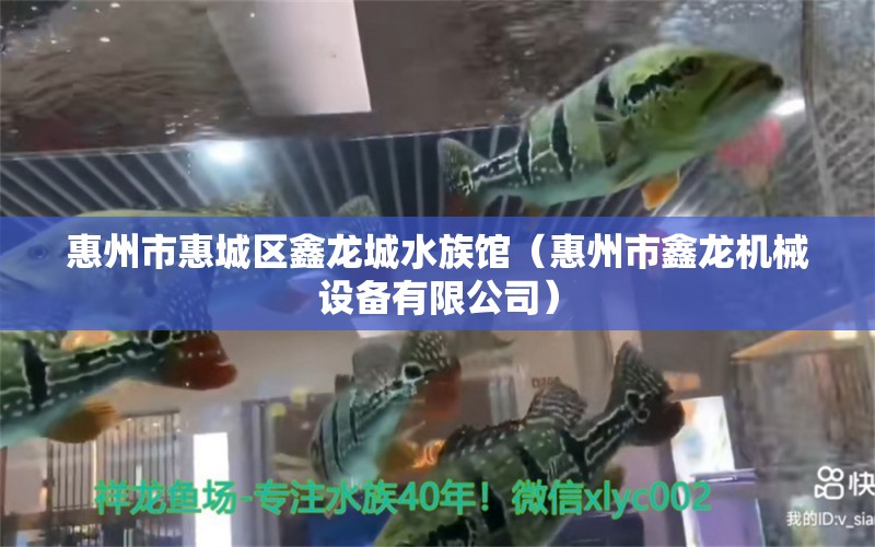 惠州市惠城区鑫龙城水族馆（惠州市鑫龙机械设备有限公司） 全国水族馆企业名录