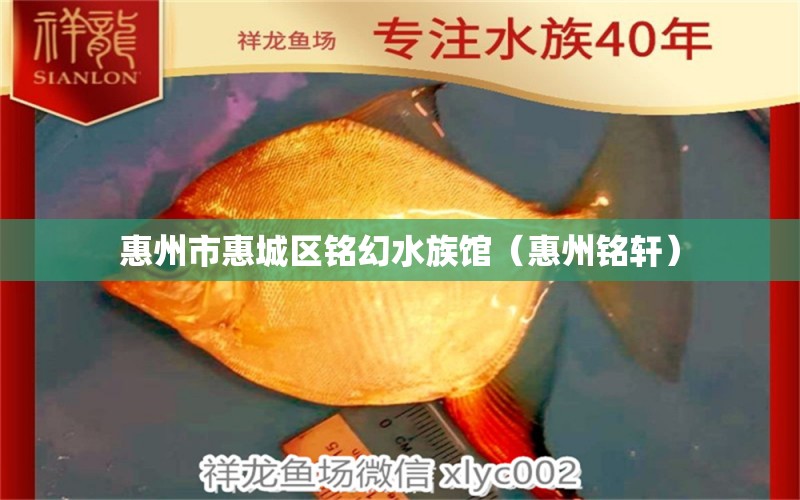 惠州市惠城区铭幻水族馆（惠州铭轩）