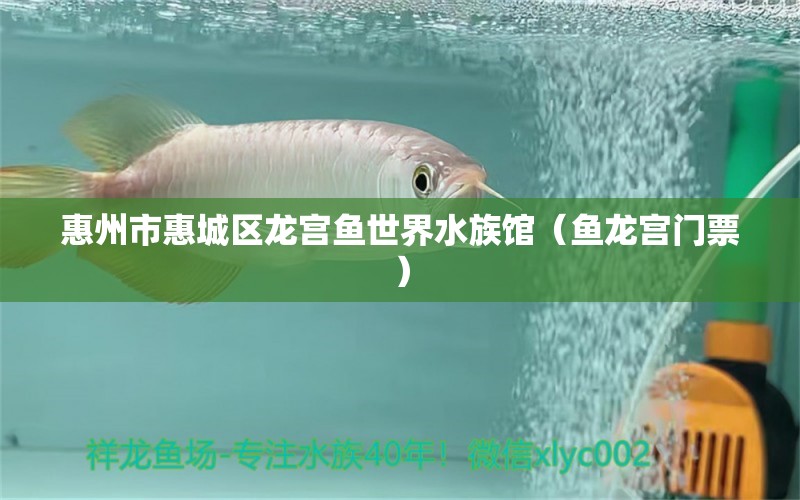 惠州市惠城区龙宫鱼世界水族馆（鱼龙宫门票）