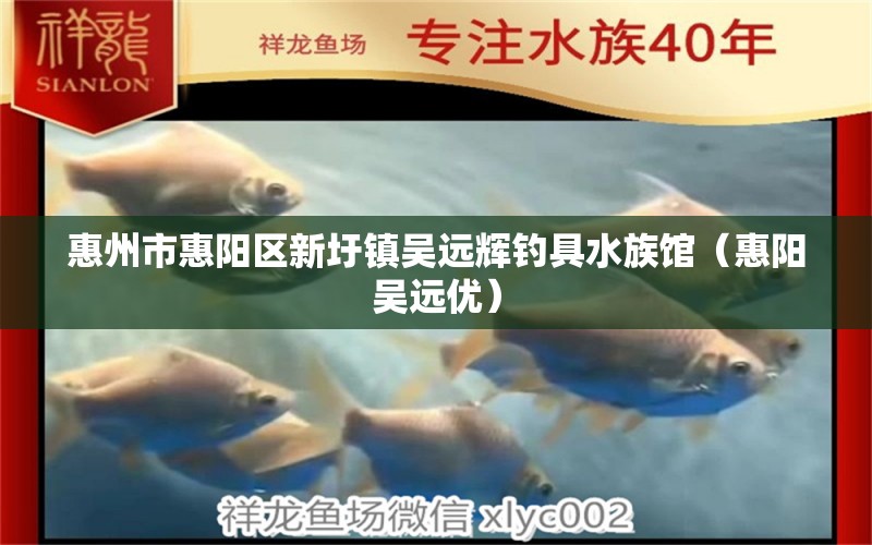 惠州市惠阳区新圩镇吴远辉钓具水族馆（惠阳吴远优）