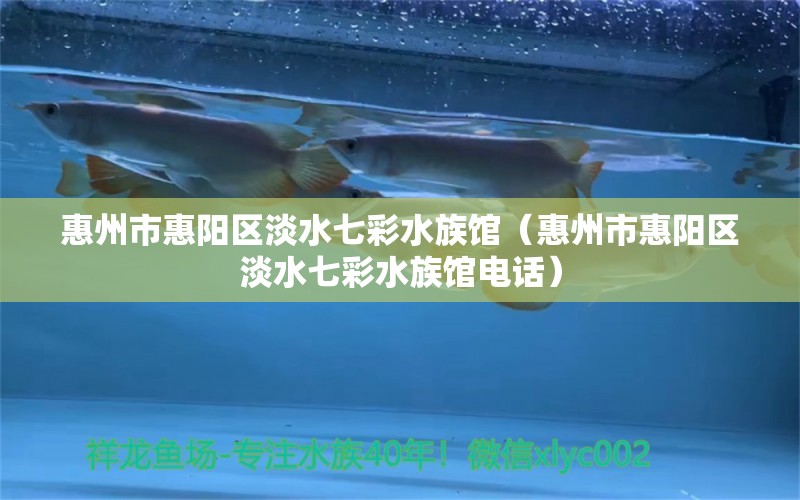 惠州市惠阳区淡水七彩水族馆（惠州市惠阳区淡水七彩水族馆电话）