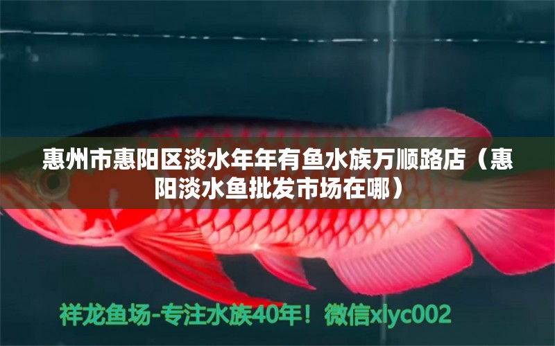 惠州市惠阳区淡水年年有鱼水族万顺路店（惠阳淡水鱼批发市场在哪）