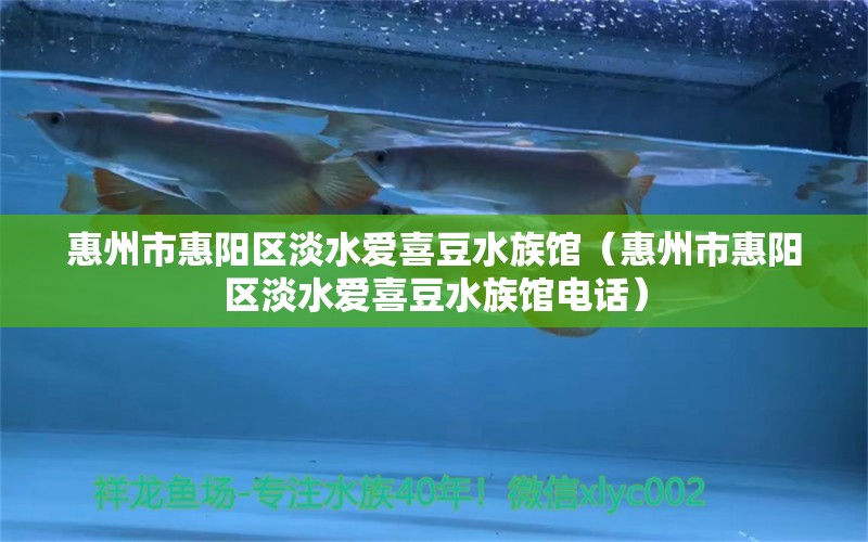 惠州市惠阳区淡水爱喜豆水族馆（惠州市惠阳区淡水爱喜豆水族馆电话）