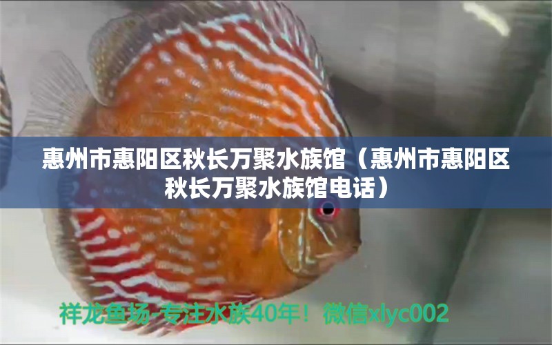 惠州市惠阳区秋长万聚水族馆（惠州市惠阳区秋长万聚水族馆电话）